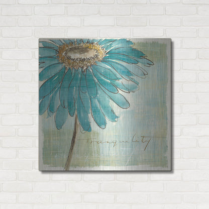 Luxe Metal Art 'Spa Daisies III' by Chris Paschke, Metal Wall Art,36x36