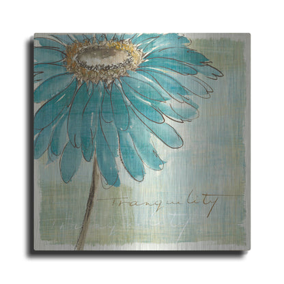 Luxe Metal Art 'Spa Daisies III' by Chris Paschke, Metal Wall Art