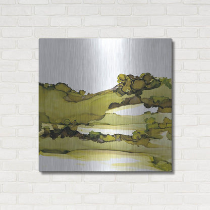 Luxe Metal Art 'Greenscape I' by Chris Paschke, Metal Wall Art,36x36