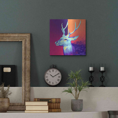 Luxe Metal Art 'A Deer', Metal Wall Art,12x12