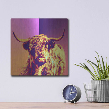 Luxe Metal Art 'Highland Cow Crush,' Metal Wall Art,12x12