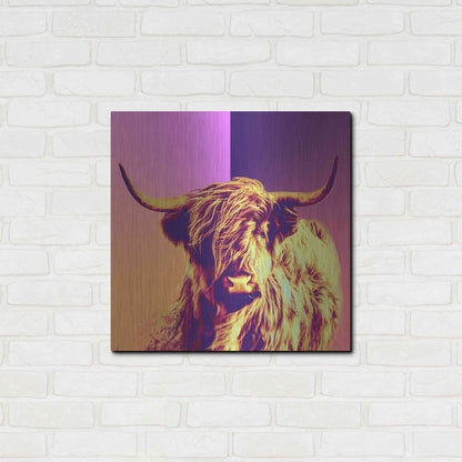 Luxe Metal Art 'Highland Cow Crush,' Metal Wall Art,24x24