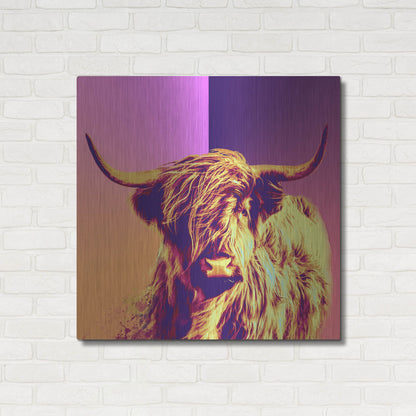 Luxe Metal Art 'Highland Cow Crush,' Metal Wall Art,36x36