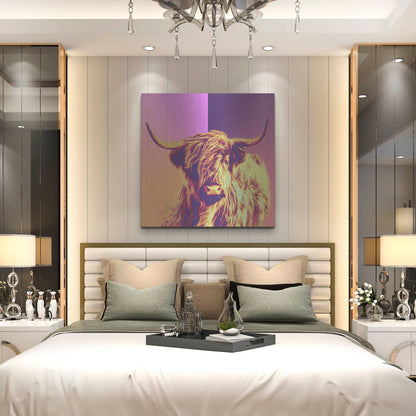 Luxe Metal Art 'Highland Cow Crush,' Metal Wall Art,36x36