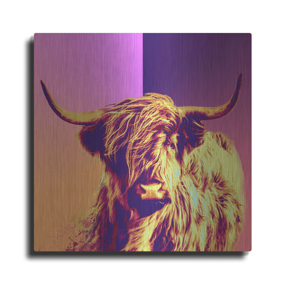 Luxe Metal Art 'Highland Cow Crush,' Metal Wall Art