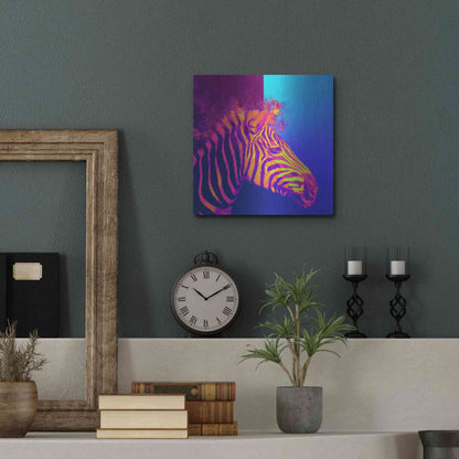 Luxe Metal Art 'Zebra Crush,' Metal Wall Art,12x12