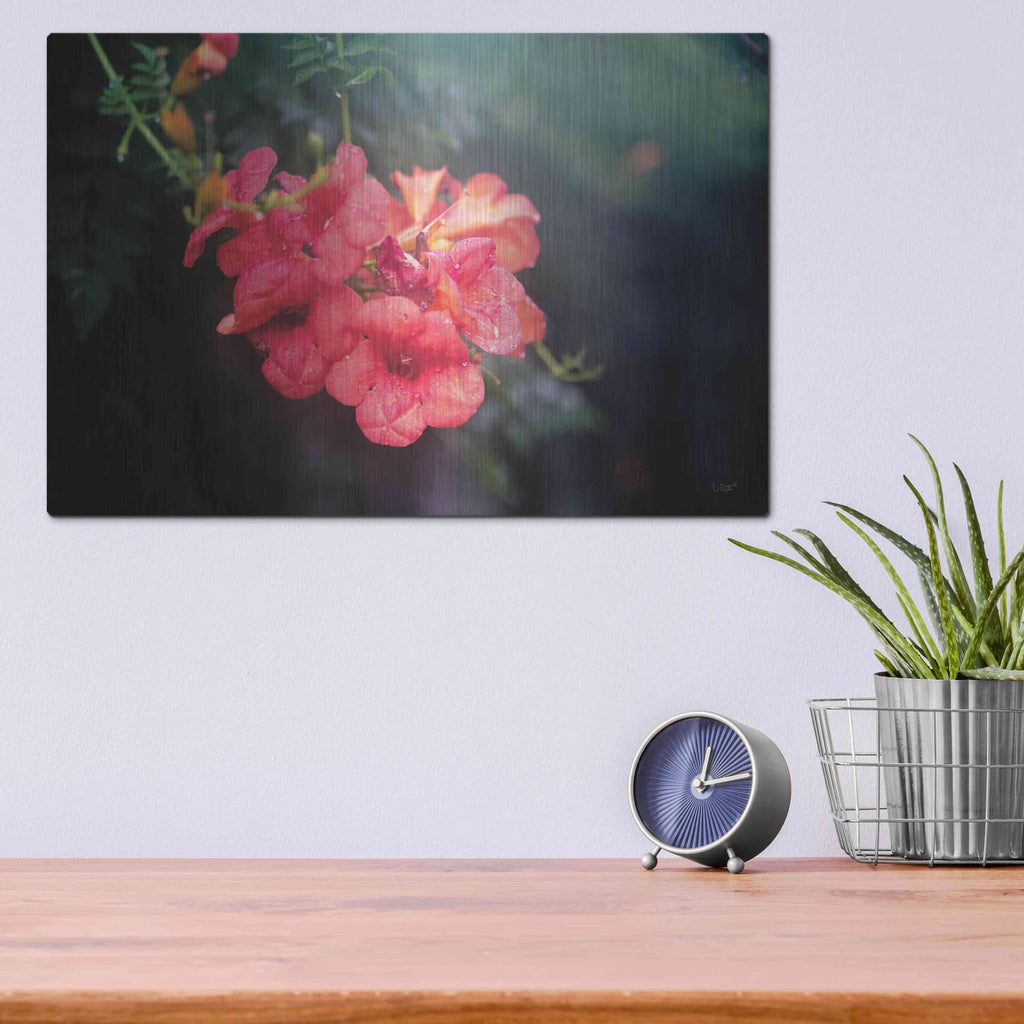 'Summer Rain' by Donnie Quillen – Metal Wall Art, 16x12 room view