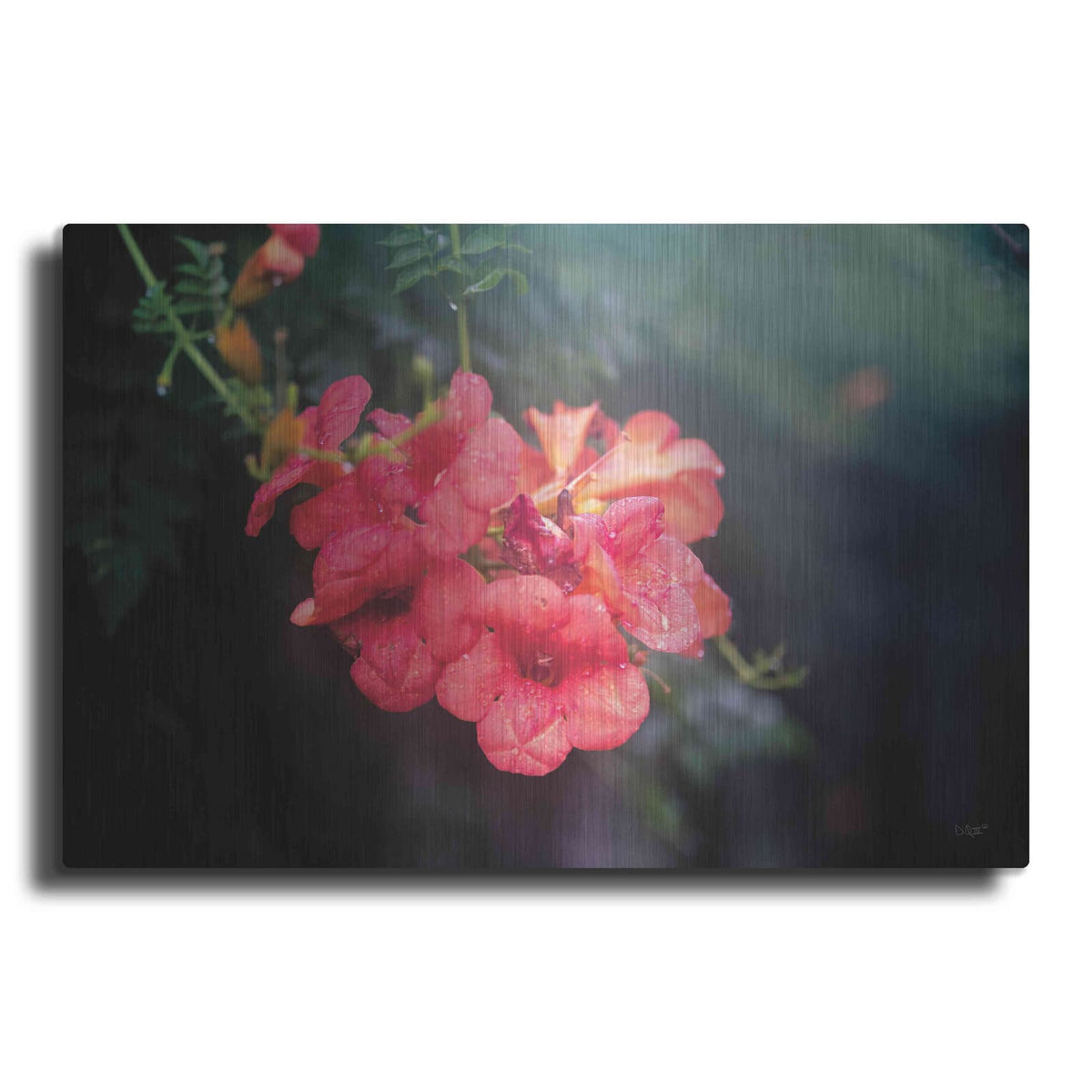 'Summer Rain' by Donnie Quillen – Metal Wall Art