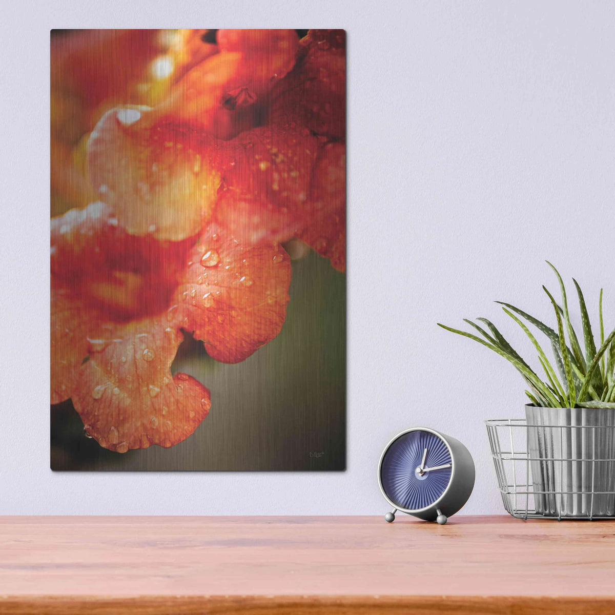 'Orange Glory' by Donnie Quillen – Metal Wall Art, 12x16 room view
