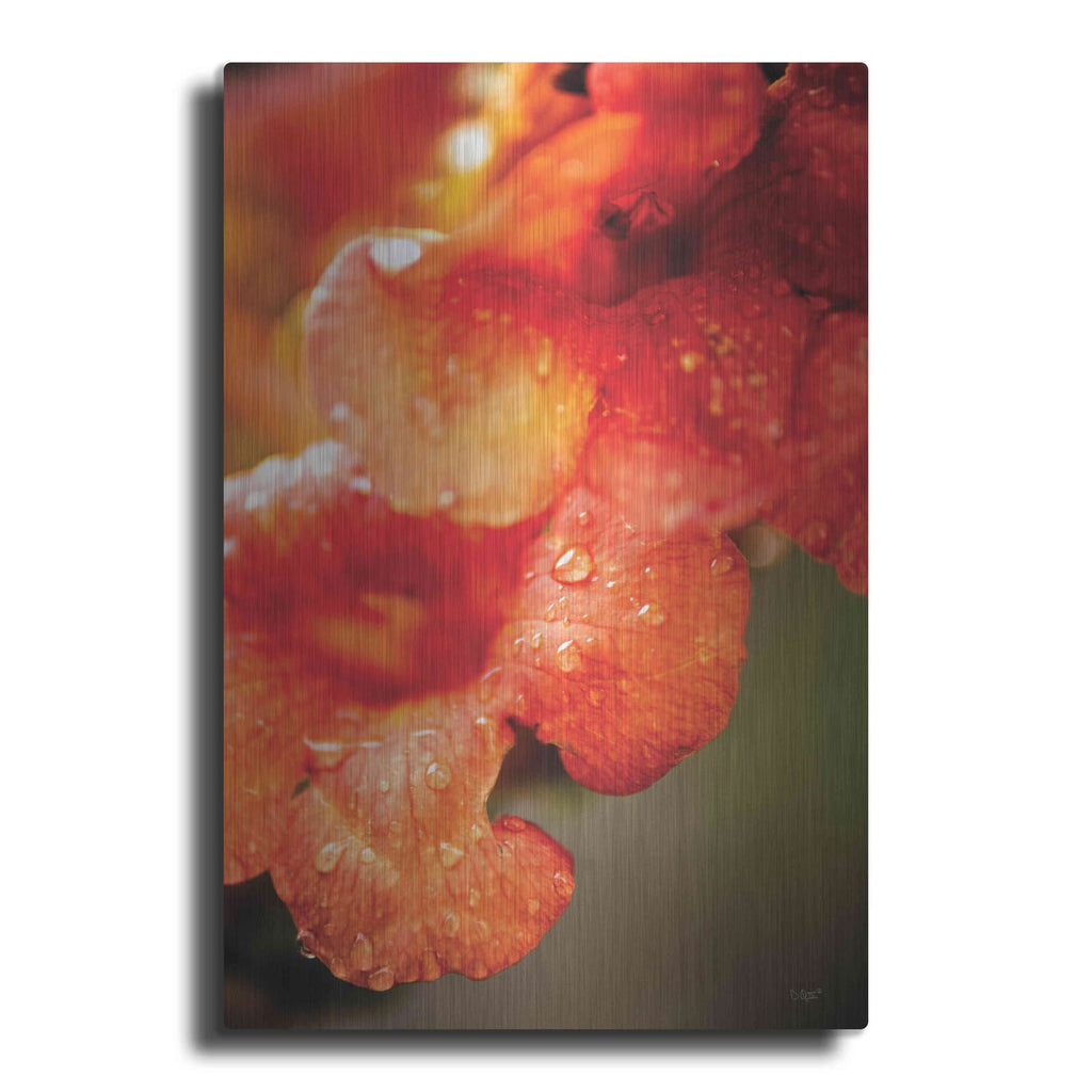 'Orange Glory' by Donnie Quillen – Metal Wall Art