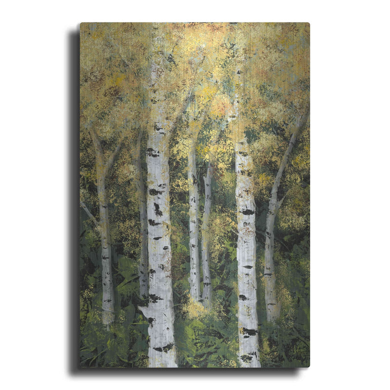 'Birch Treeline II' by Jade Reynolds – Metal Wall Art