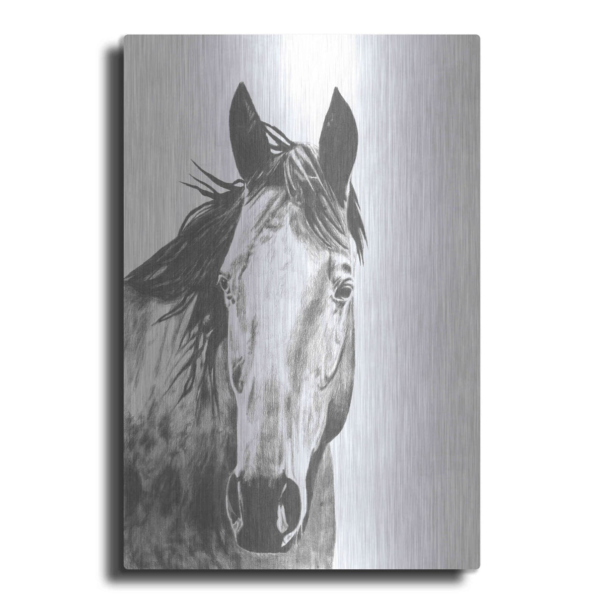 'Wildlife Snapshot Horse I' by Naomi McCavitt – Metal Wall Art