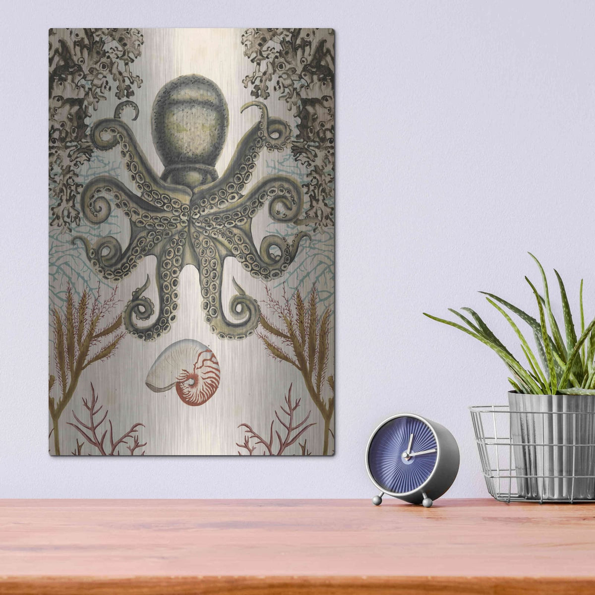 'Antiquarian Menagerie-Octopus' by Naomi McCavitt – Metal Wall Art, 12x16 room view