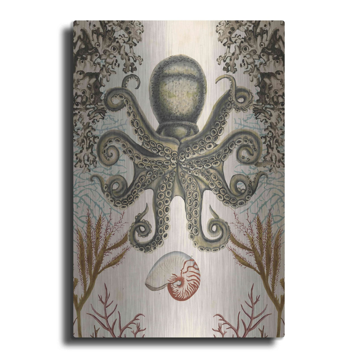 'Antiquarian Menagerie-Octopus' by Naomi McCavitt – Metal Wall Art