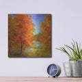 'Burst of Autumn Color' by Sheila Finch – Metal Wall Art, 12x12 room view