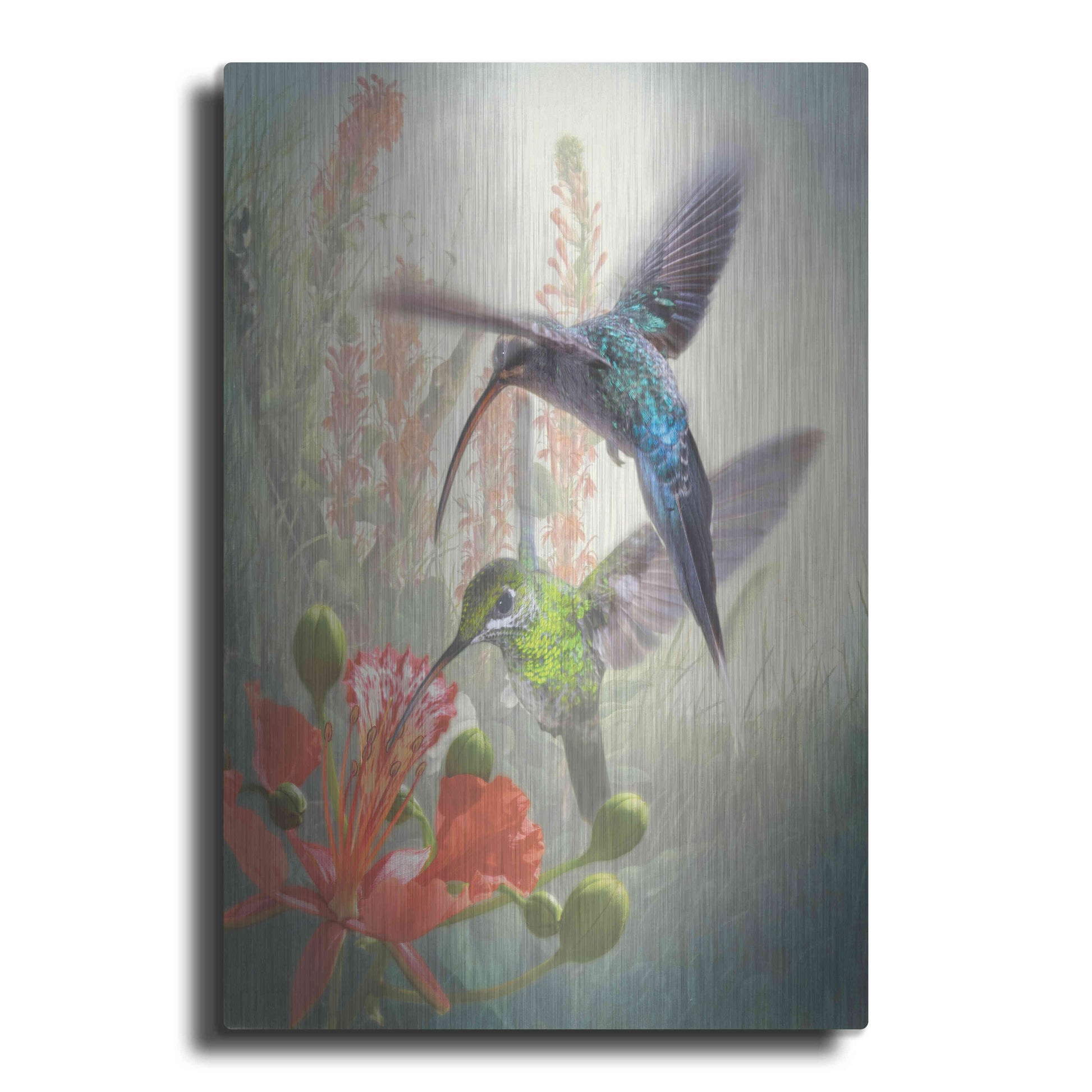 Luxe Metal Art 'Hummingbird Cycle I' by Steve Hunziker, Metal Wall Art