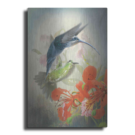 Luxe Metal Art 'Hummingbird Cycle II' by Steve Hunziker, Metal Wall Art