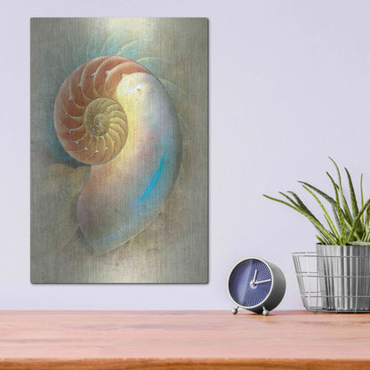 Luxe Metal Art 'Aquatica II' by Steve Hunziker, Metal Wall Art,12x16