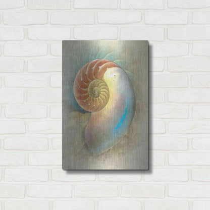 Luxe Metal Art 'Aquatica II' by Steve Hunziker, Metal Wall Art,16x24