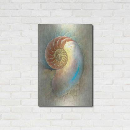 Luxe Metal Art 'Aquatica II' by Steve Hunziker, Metal Wall Art,24x36