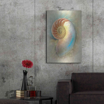 Luxe Metal Art 'Aquatica II' by Steve Hunziker, Metal Wall Art,24x36