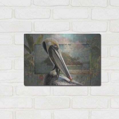 Luxe Metal Art 'Pelican Paradise II' by Steve Hunziker, Metal Wall Art,16x12