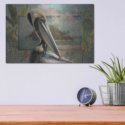 Luxe Metal Art 'Pelican Paradise II' by Steve Hunziker, Metal Wall Art,16x12