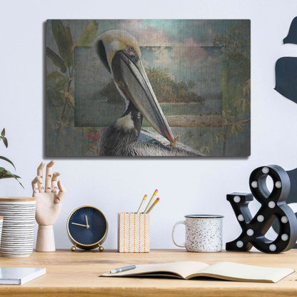 Luxe Metal Art 'Pelican Paradise II' by Steve Hunziker, Metal Wall Art,16x12