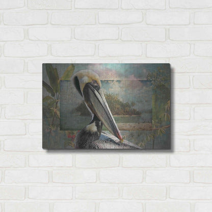 Luxe Metal Art 'Pelican Paradise II' by Steve Hunziker, Metal Wall Art,24x16