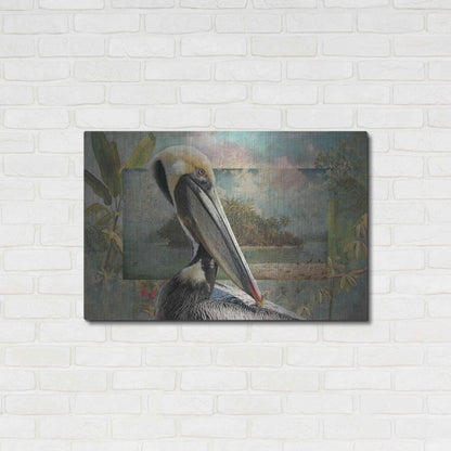 Luxe Metal Art 'Pelican Paradise II' by Steve Hunziker, Metal Wall Art,36x24