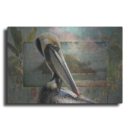 Luxe Metal Art 'Pelican Paradise II' by Steve Hunziker, Metal Wall Art