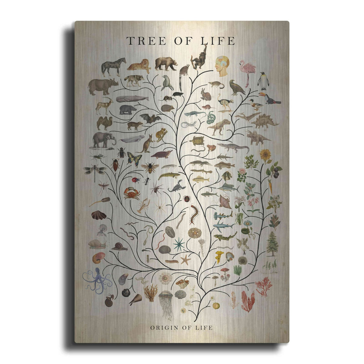 'Tree of Life' by Studio W – Metal Wall Art