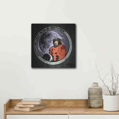 Luxe Metal Art 'Space Monkeys' by Nicklas Gustafsson, Metal Wall Art,12x12