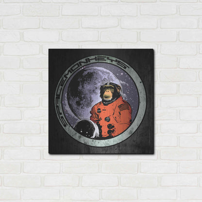 Luxe Metal Art 'Space Monkeys' by Nicklas Gustafsson, Metal Wall Art,24x24
