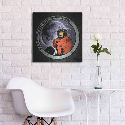 Luxe Metal Art 'Space Monkeys' by Nicklas Gustafsson, Metal Wall Art,24x24