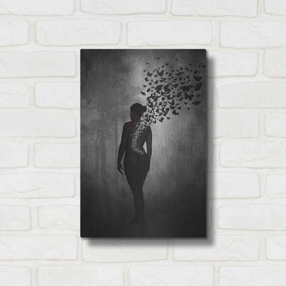 Luxe Metal Art 'The Butterfly Transformation' by Nicklas Gustafsson, Metal Wall Art,12x16