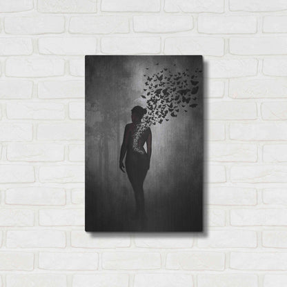 Luxe Metal Art 'The Butterfly Transformation' by Nicklas Gustafsson, Metal Wall Art,16x24