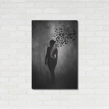 Luxe Metal Art 'The Butterfly Transformation' by Nicklas Gustafsson, Metal Wall Art,24x36