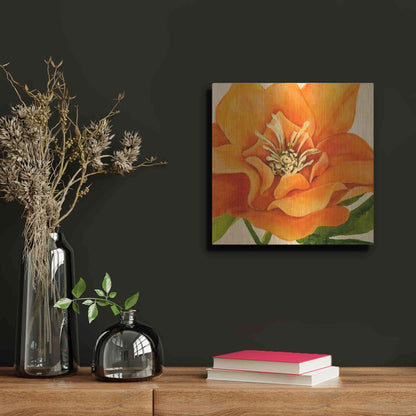 Luxe Metal Art 'Copper Petals II' by Annie Warren, Metal Wall Art,12x12