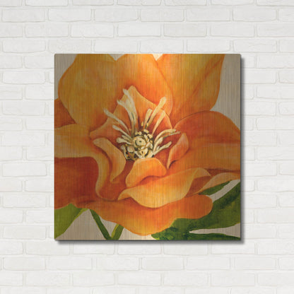 Luxe Metal Art 'Copper Petals II' by Annie Warren, Metal Wall Art,36x36