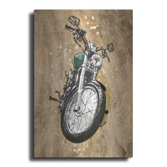 Luxe Metal Art 'Metallic Rider II' by Annie Warren, Metal Wall Art