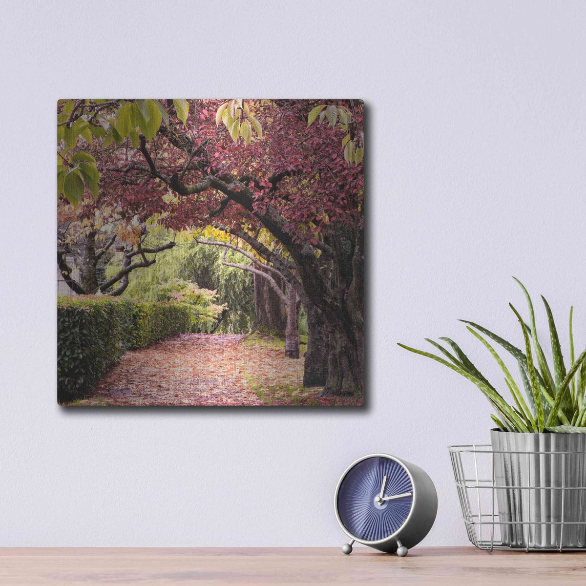 'Arch of Trees' by Colby Chester – Metal Wall Art, 12x12 room view