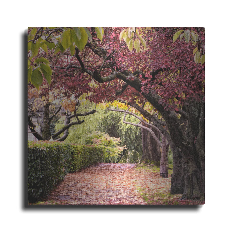 'Arch of Trees' by Colby Chester – Metal Wall Art