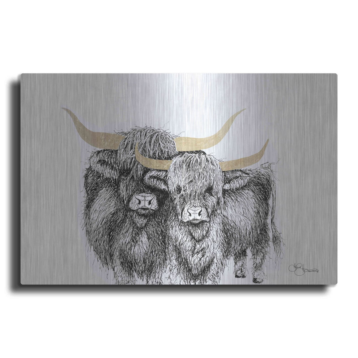 'Highland Cattle' by Hollihocks Art – Metal Wall Art