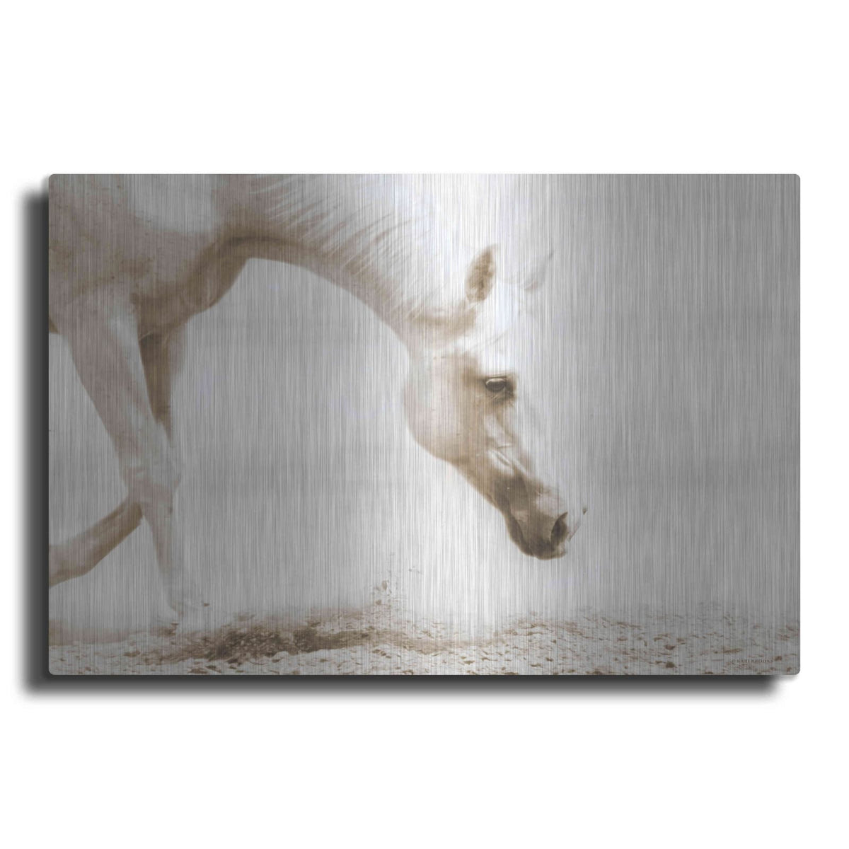 'Trail Horse Sepia' by Kari Brooks – Metal Wall Art