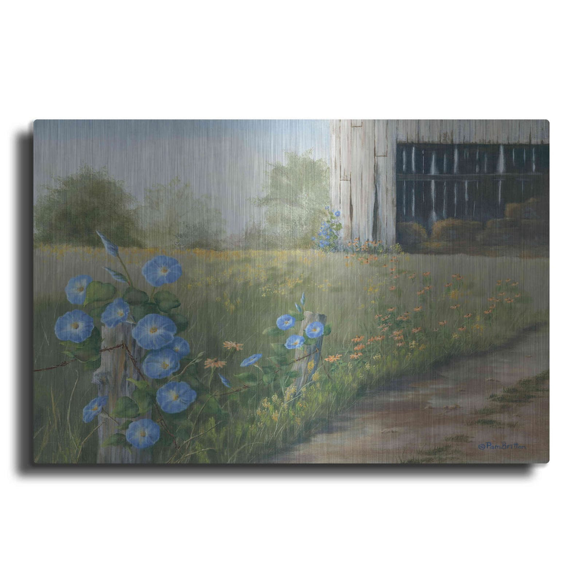 'Morning Glories & Hay Barn' by Pam Britton – Metal Wall Art