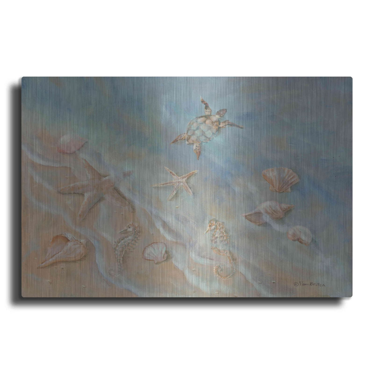 'Seashore Star II' by Pam Britton – Metal Wall Art