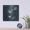 'Eucalyptus on Blue' by Linda Woods – Metal Wall Art, 12x12 room view