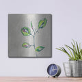 'Eucalyptus on Sand' by Linda Woods – Metal Wall Art, 12x12 room view