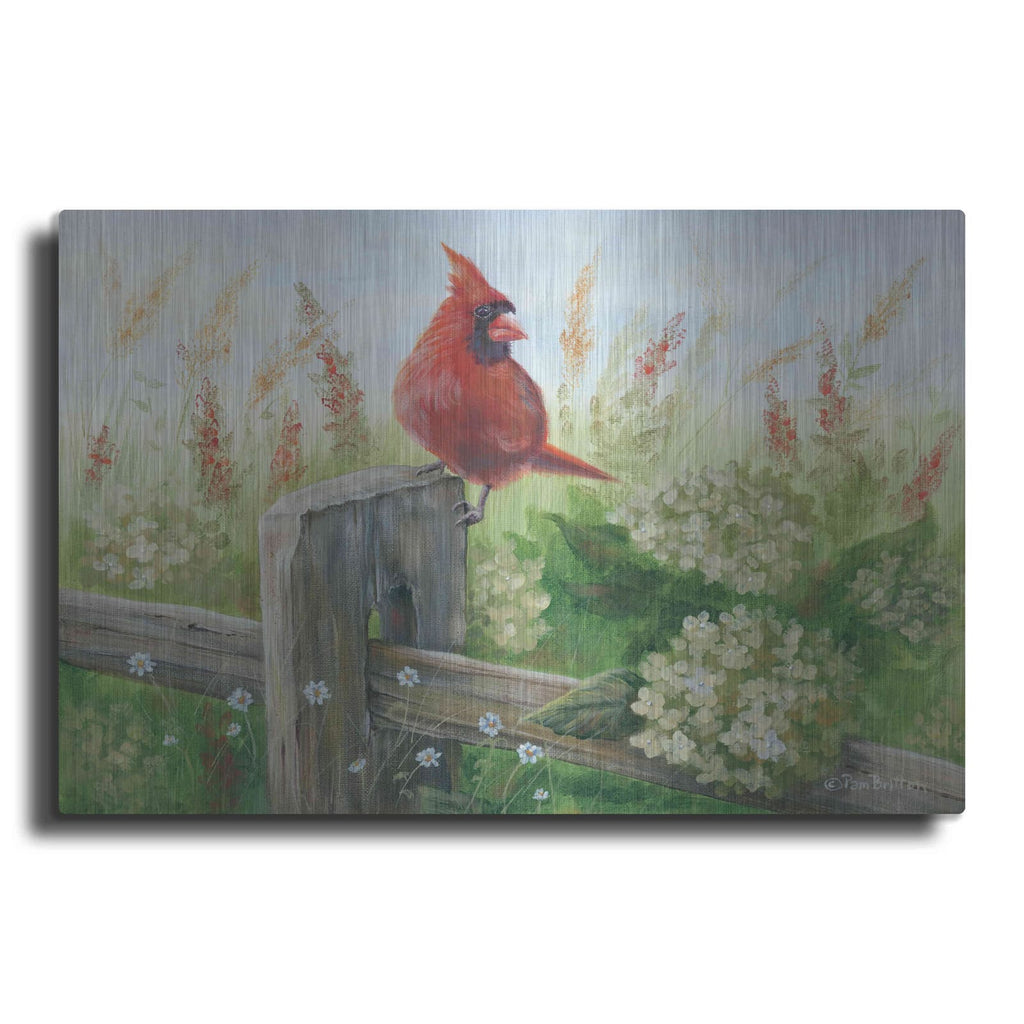 'Cardinal on Fence' by Pam Britton – Metal Wall Art